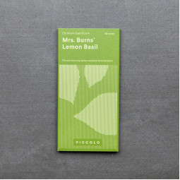 Basilika Mrs Burns